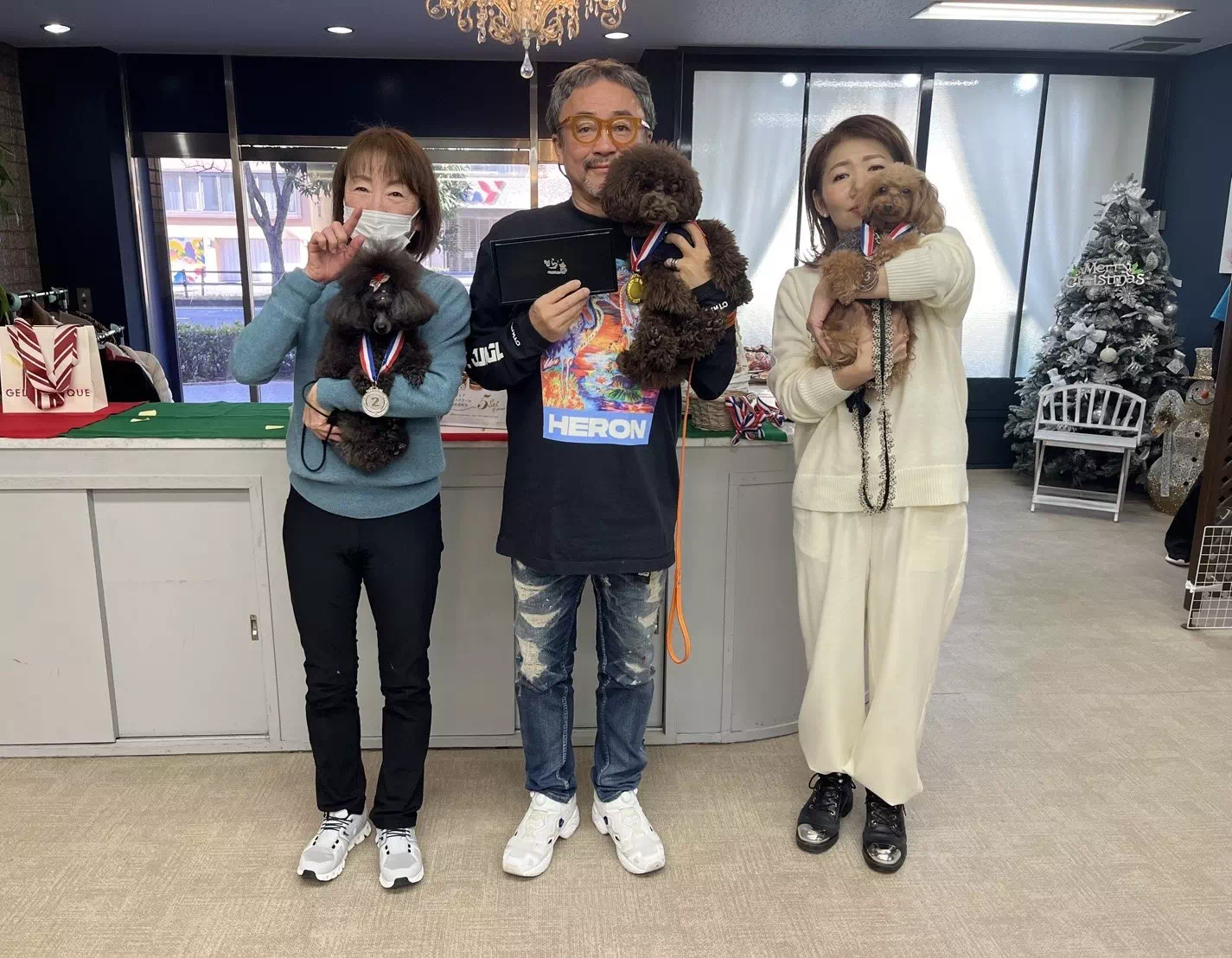 トイプードルの写真