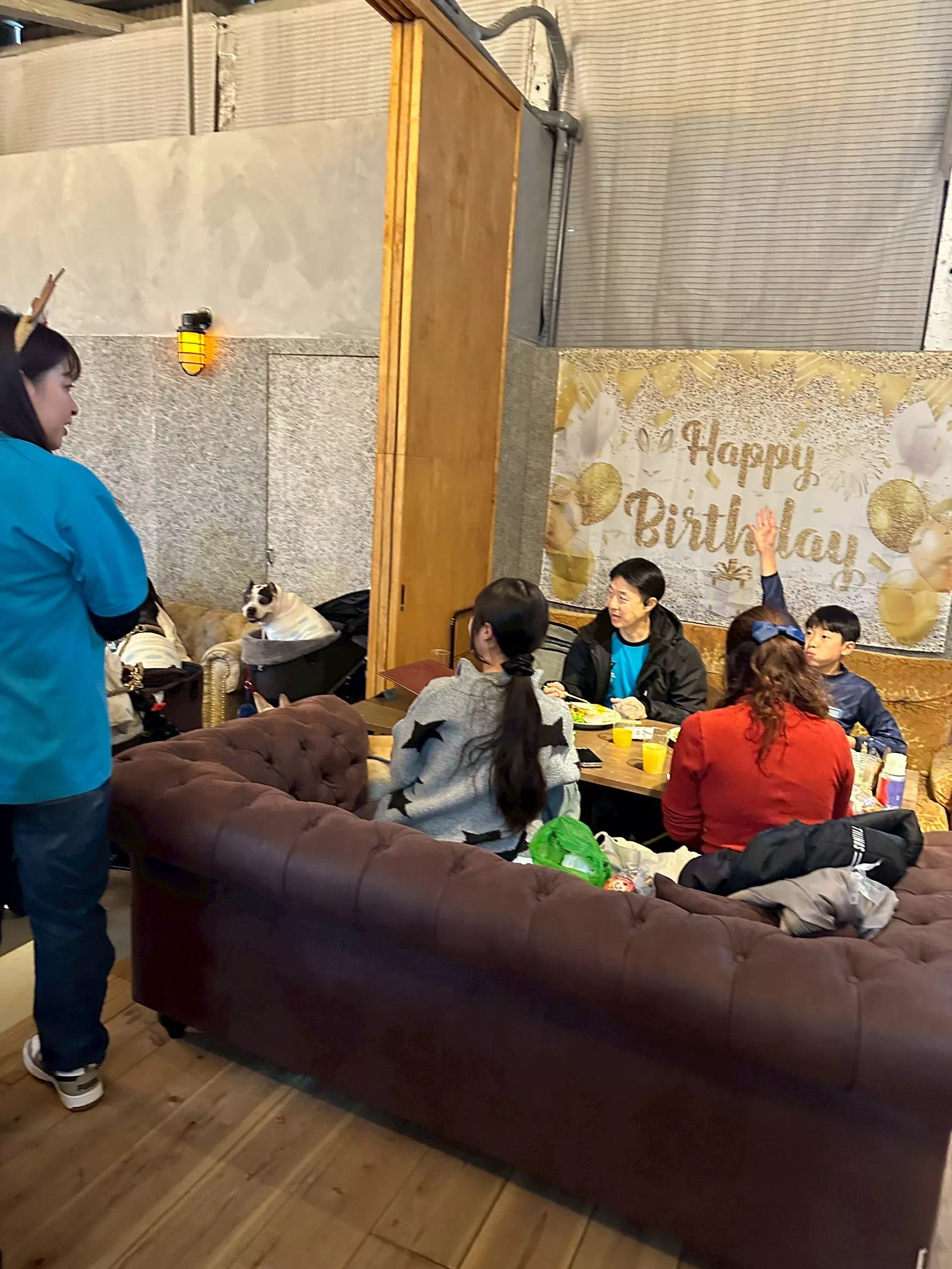 トイプードルの写真