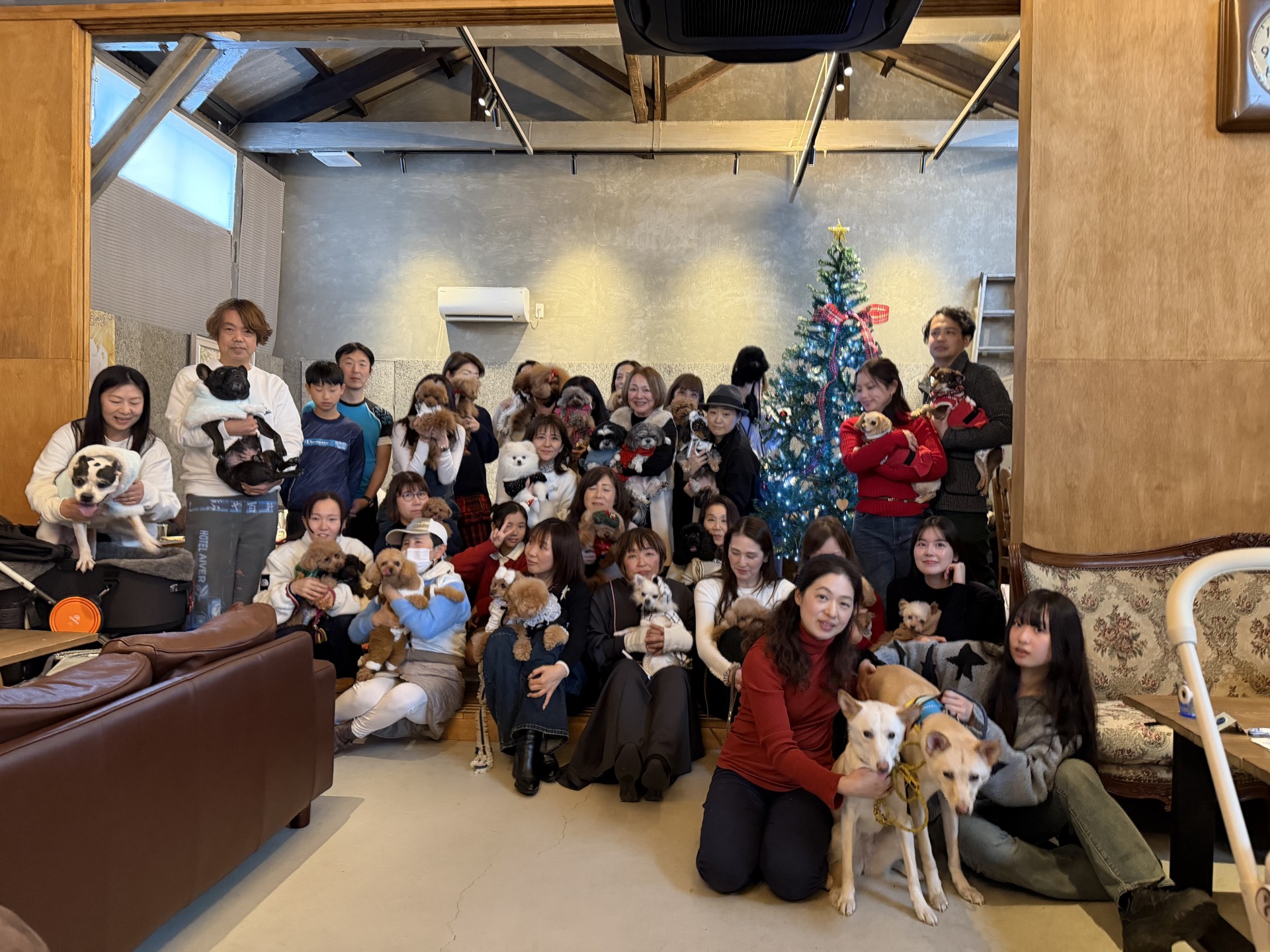 モデル犬の写真